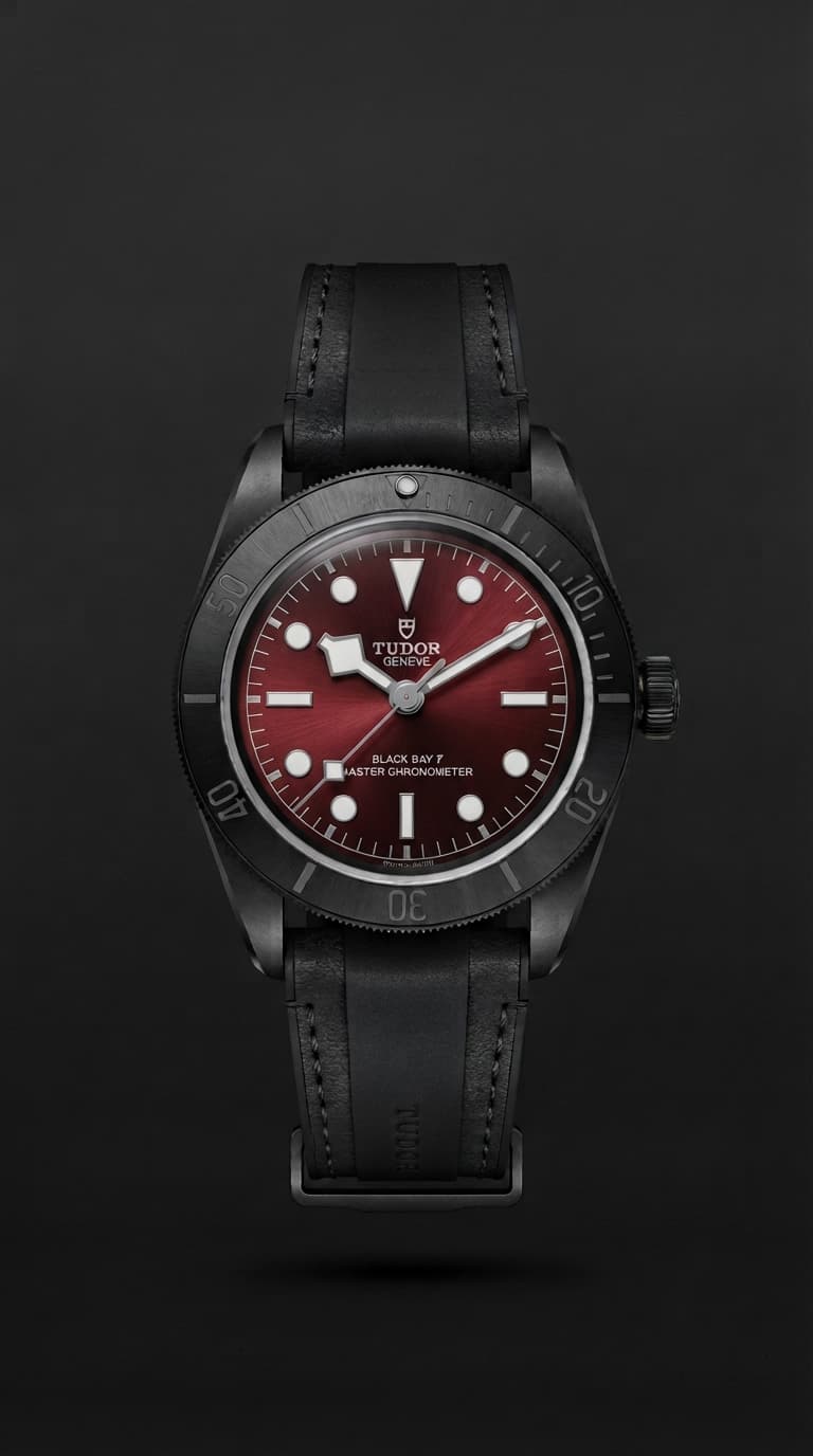 Tudor Black Bay Ceramic 41