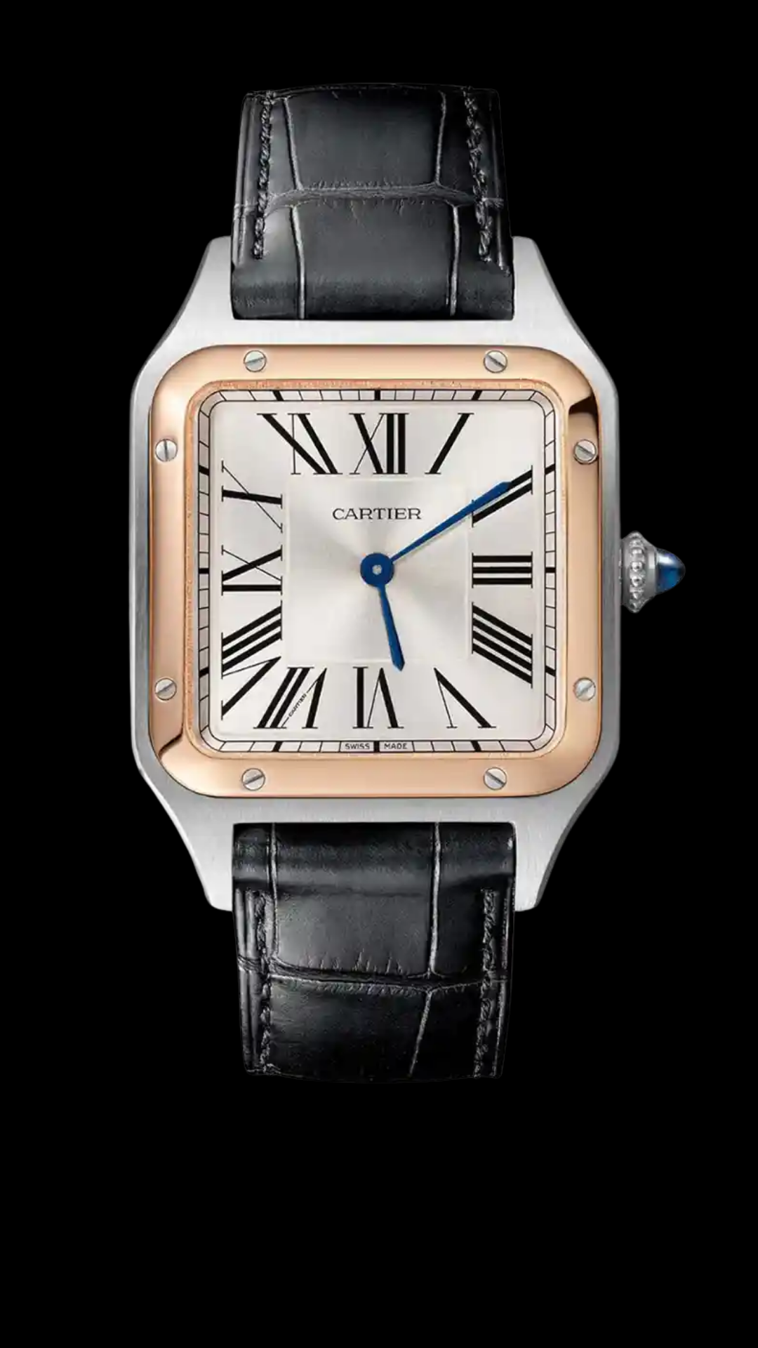 Cartier Santos-Dumont Large